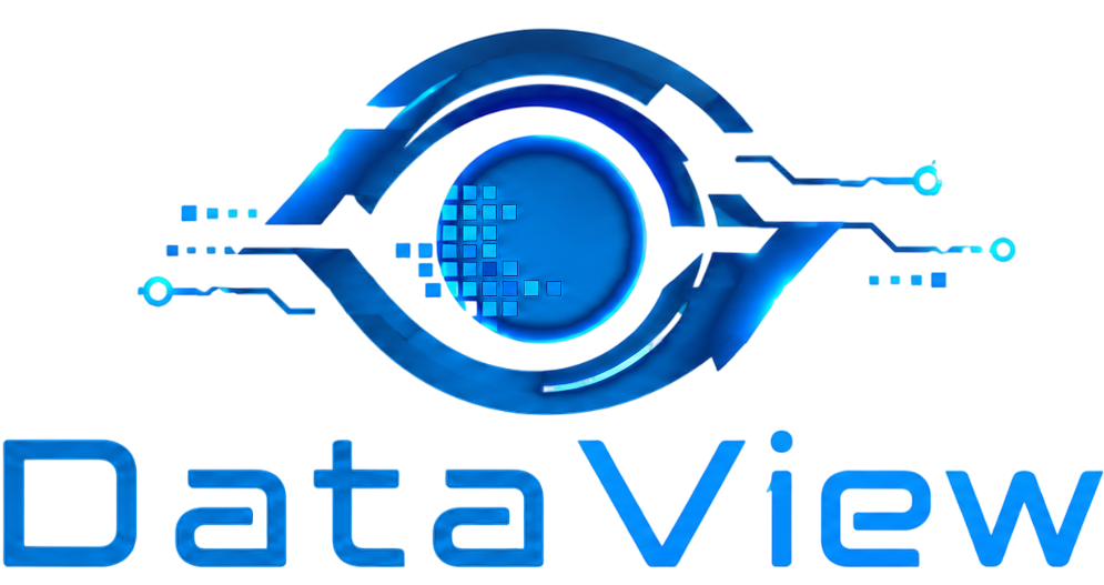 DataView logo