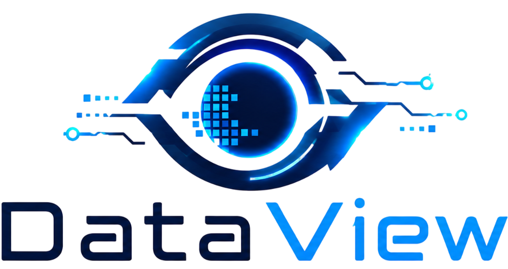 DataView logo